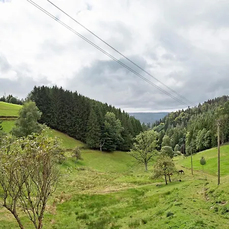 Apartment Schwaeblehof *