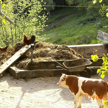 Schwaeblehof Apartment