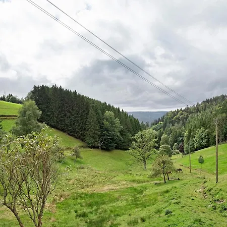 Schwaeblehof Triberg im Schwarzwald