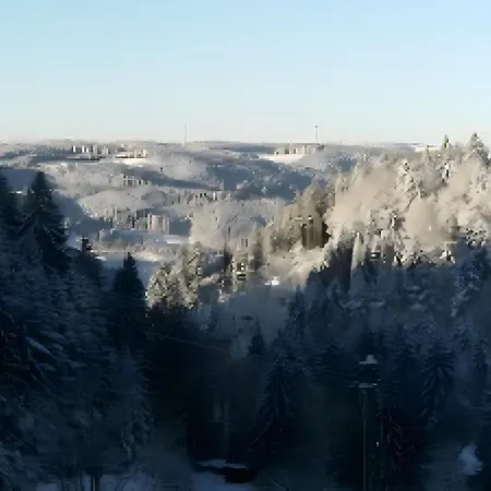 Schwaeblehof * Triberg im Schwarzwald